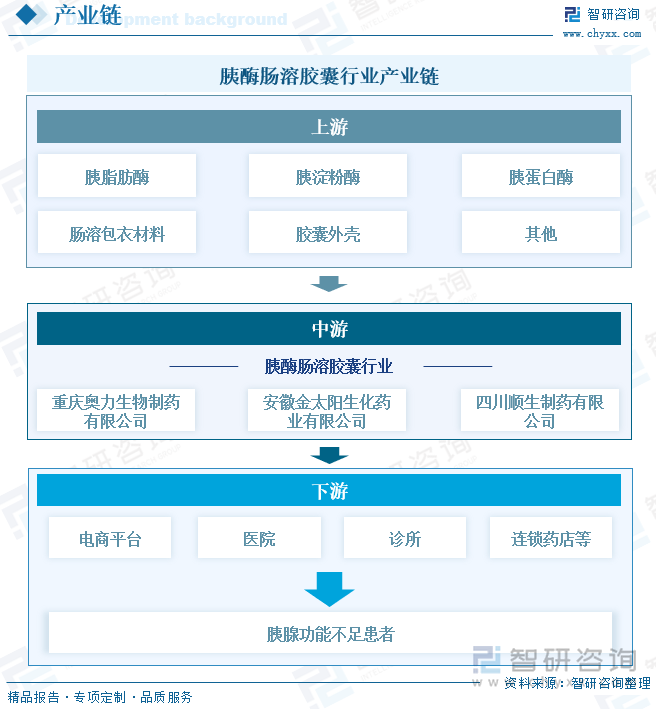 胰酶腸溶膠囊行業(yè)產(chǎn)業(yè)鏈
