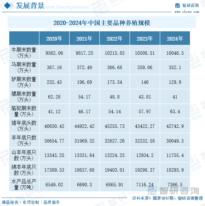 2020-2024年中國(guó)主要品種養(yǎng)殖規(guī)模