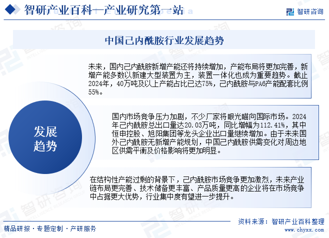 中國己內(nèi)酰胺行業(yè)發(fā)展趨勢
