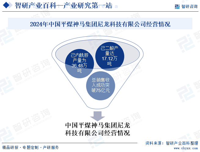 2024年中國平煤神馬集團尼龍科技有限公司經(jīng)營情況