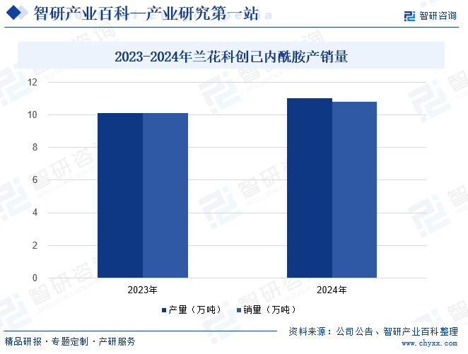 2023-2024年蘭花科創(chuàng)己內(nèi)酰胺產(chǎn)銷量