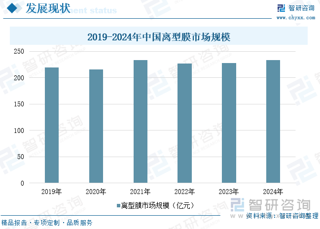 2019-2024年中國離型膜市場規(guī)模