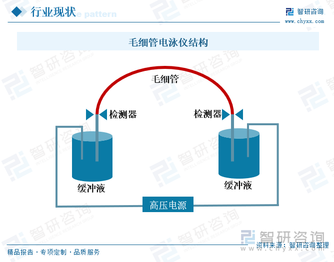 毛細管電泳儀結(jié)構(gòu)