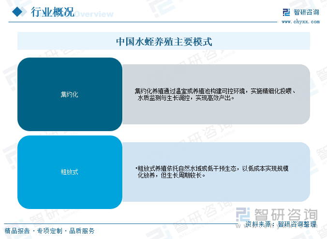 中國(guó)水蛭養(yǎng)殖主要模式