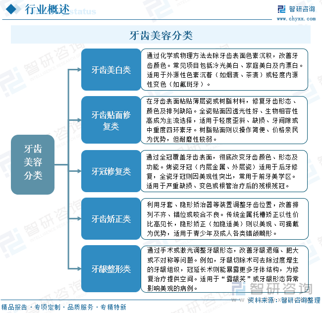 牙齿美容分类