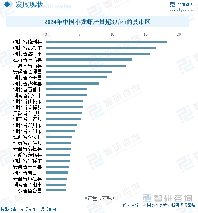 2024年中國(guó)小龍蝦產(chǎn)量超3萬(wàn)噸的縣市區(qū)
