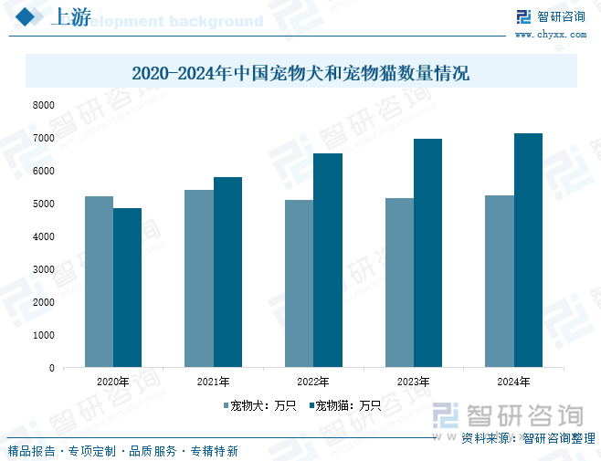 2020-2024年中國(guó)寵物犬和寵物貓數(shù)量情況