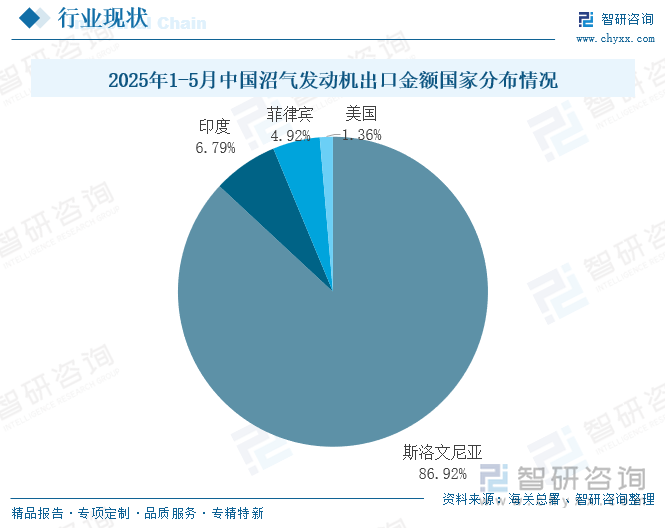 2025年1-5月中國沼氣發(fā)動機出口金額國家分布情況