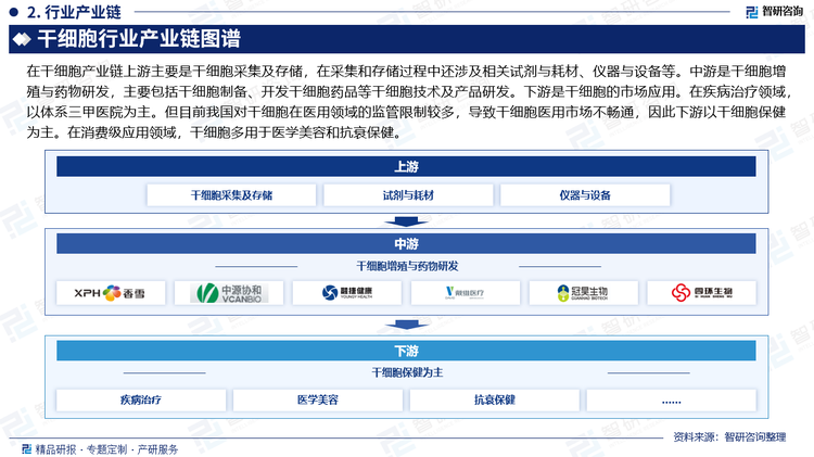 在干細胞產(chǎn)業(yè)鏈上游主要是干細胞采集及存儲，在采集和存儲過程中還涉及相關試劑與耗材、儀器與設備等。中游是干細胞增殖與藥物研發(fā)，主要包括干細胞制備、開發(fā)干細胞藥品等干細胞技術及產(chǎn)品研發(fā)。下游是干細胞的市場應用。在疾病治療領域，以體系三甲醫(yī)院為主。但目前我國對干細胞在醫(yī)用領域的監(jiān)管限制較多，導致干細胞醫(yī)用市場不暢通，因此下游以干細胞保健為主。在消費級應用領域，干細胞多用于醫(yī)學美容和抗衰保健。