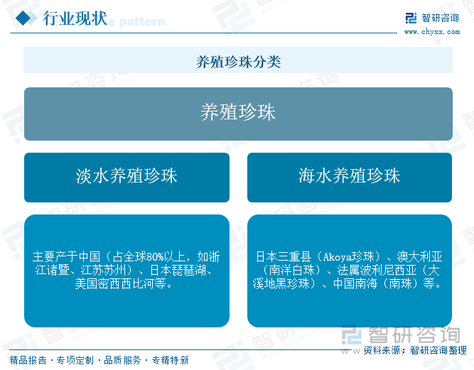 養(yǎng)殖珍珠分類