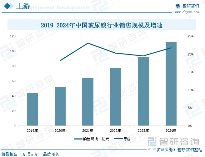 2019-2024年中國玻尿酸行業(yè)銷售規(guī)模及增速
