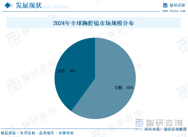 2024年全球胸腔鏡市場規(guī)模分布