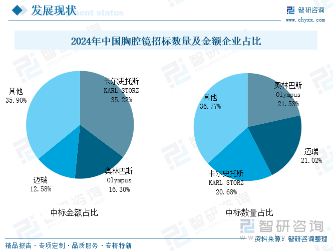 2024年中國胸腔鏡招標(biāo)數(shù)量及金額企業(yè)占比