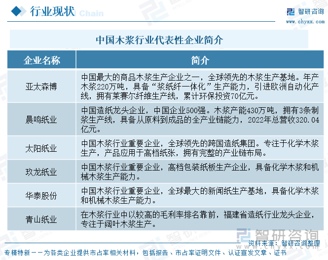中國木漿行業(yè)代表性企業(yè)簡介