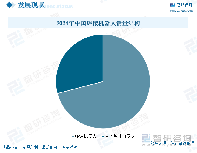 2024年中國焊接機(jī)器人銷量結(jié)構(gòu)