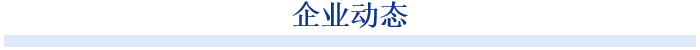此次战略合作不仅体现了双方对深化合作的坚定决心，更为双方在国际市场拓展、技术创新、服务升级等方面的协同发展提供了新动力。双方将以此次会谈为新起点，推动合作向更深层次、更广领域拓展，通过战略协同探索行业转型期的可持续发展路径，实现互利共赢的高质量发展。