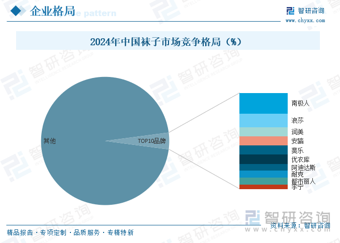 2024年中國襪子市場競爭格局（%）