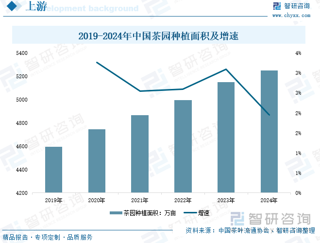 2019-2024年中國茶園種植面積及增速