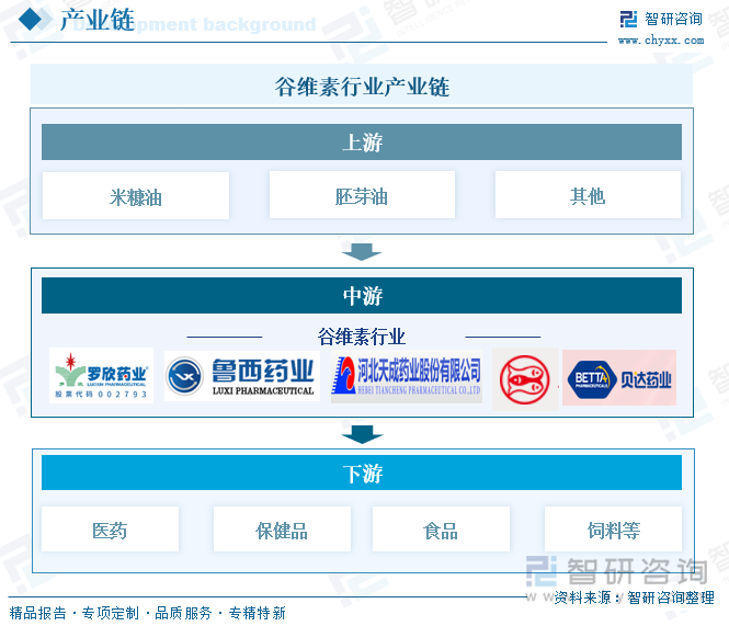 谷维素行业产业链
