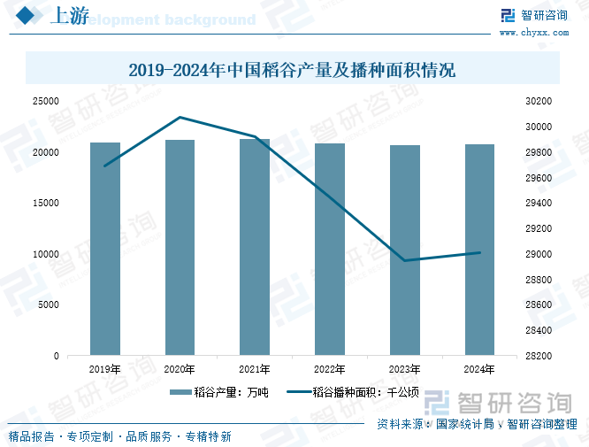 2019-2024年中国稻谷产量及播种面积情况