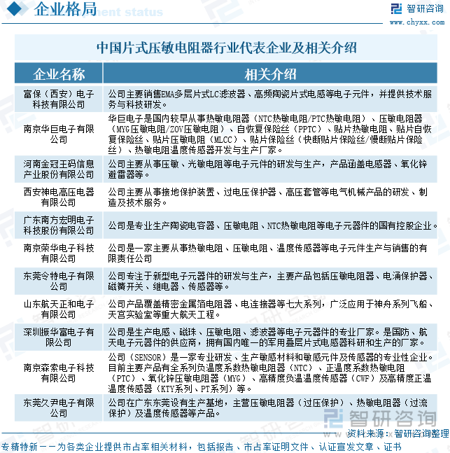 中國(guó)片式壓敏電阻器行業(yè)代表企業(yè)及相關(guān)介紹