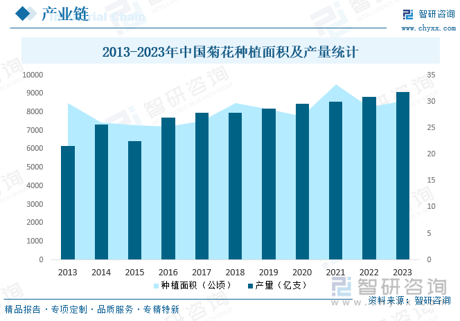 2013-2023年中國菊花種植面積及產(chǎn)量統(tǒng)計