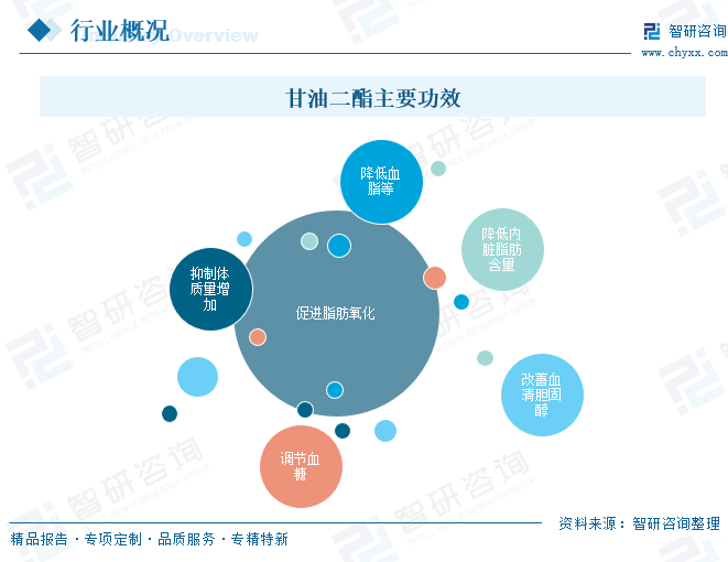 甘油二酯主要功效