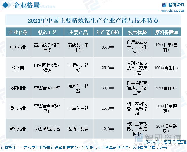 2024年中國主要精煉鈷生產(chǎn)企業(yè)產(chǎn)能與技術(shù)特點(diǎn)