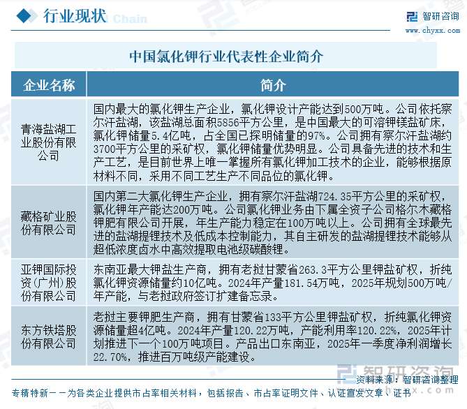 中國氯化鉀行業(yè)代表性企業(yè)簡介