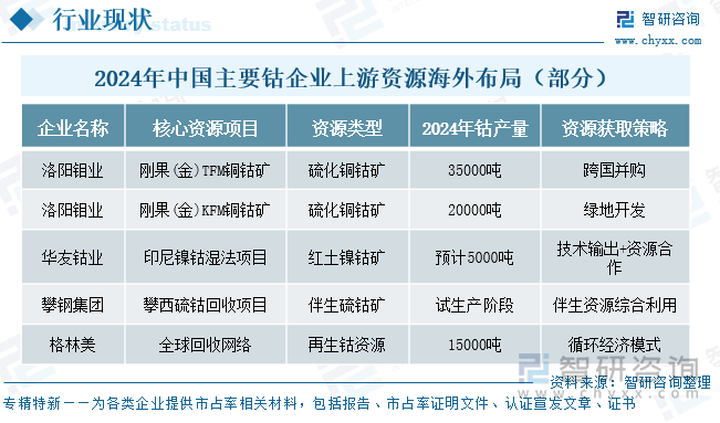 2024年中國主要鈷企業(yè)上游資源海外布局（部分）