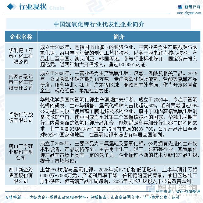 中國氫氧化鉀行業(yè)代表性企業(yè)簡介