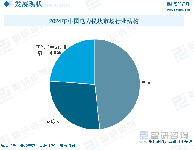 2024年中國電力模塊市場(chǎng)行業(yè)結(jié)構(gòu)