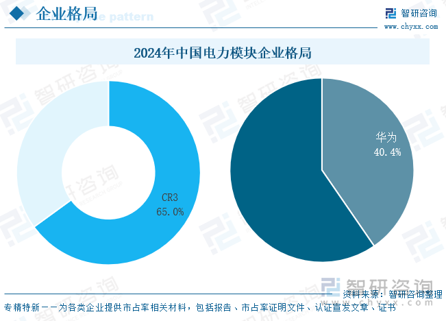 2024年中國電力模塊企業(yè)格局