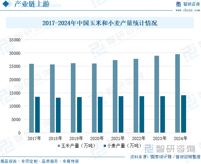 2017-2024年中國玉米和小麥產(chǎn)量統(tǒng)計(jì)情況