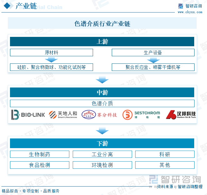 色譜介質(zhì)行業(yè)產(chǎn)業(yè)鏈