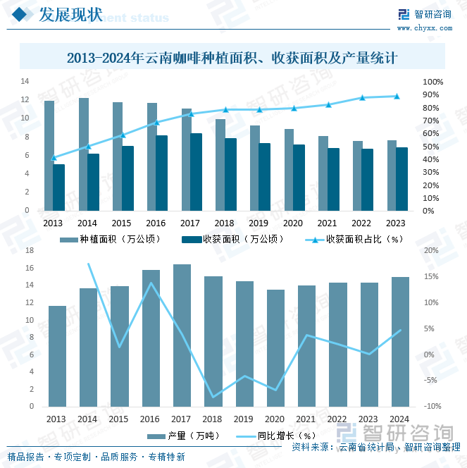2013-2024年云南咖啡種植面積、收獲面積及產(chǎn)量統(tǒng)計