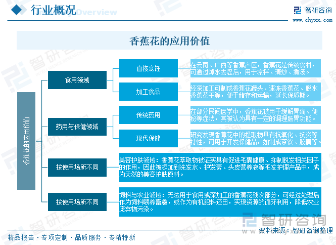 香蕉花的應(yīng)用價(jià)值
