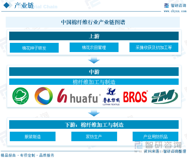 中國(guó)棉纖維?行業(yè)產(chǎn)業(yè)鏈圖譜