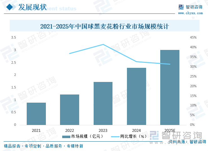 2021-2025年中國球黑麥花粉行業(yè)市場規(guī)模統(tǒng)計