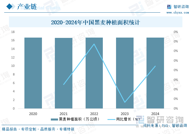 2020-2024年中國黑麥種植面積統(tǒng)計