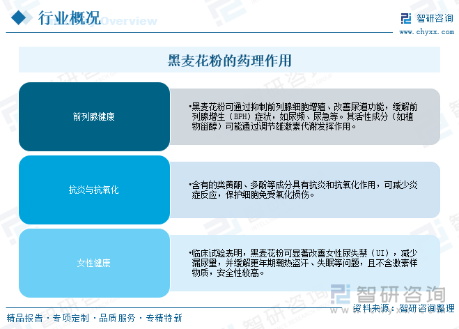 黑麥花粉的藥理作用