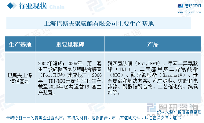 上海巴斯夫聚氨酯有限公司主要生產(chǎn)基地