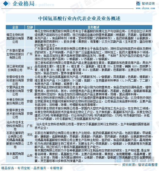 中國氨基酸行業(yè)內(nèi)代表企業(yè)及業(yè)務概述