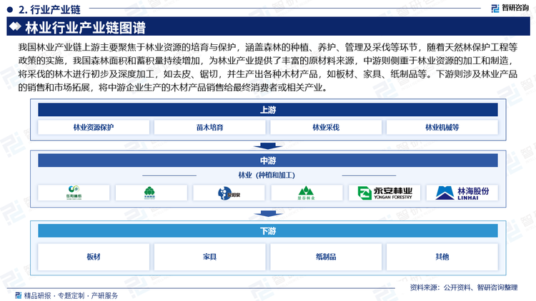我國林業(yè)產(chǎn)業(yè)鏈上游主要聚焦于林業(yè)資源的培育與保護(hù)，涵蓋森林的種植、養(yǎng)護(hù)、管理及采伐等環(huán)節(jié)，隨著天然林保護(hù)工程等政策的實(shí)施，我國森林面積和蓄積量持續(xù)增加，為林業(yè)產(chǎn)業(yè)提供了豐富的原材料來源，中游則側(cè)重于林業(yè)資源的加工和制造，將采伐的林木進(jìn)行初步及深度加工，如去皮、鋸切，并生產(chǎn)出各種木材產(chǎn)品，如板材、家具、紙制品等。下游則涉及林業(yè)產(chǎn)品的銷售和市場拓展，將中游企業(yè)生產(chǎn)的木材產(chǎn)品銷售給最終消費(fèi)者或相關(guān)產(chǎn)業(yè)。