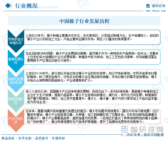 中国榛子行业发展历程