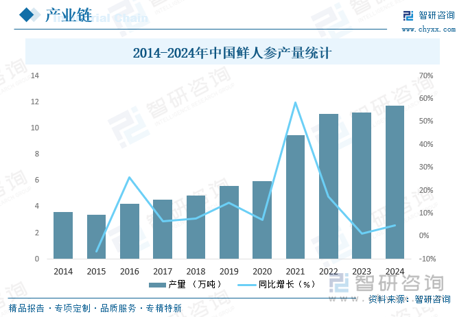2014-2024年中國鮮人參產(chǎn)量統(tǒng)計