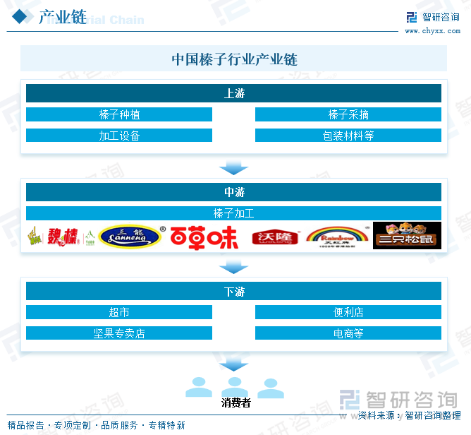 中国榛子行业产业链