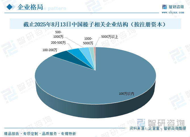 截止2025年8月13日中国榛子相关企业结构（按注册资本）
