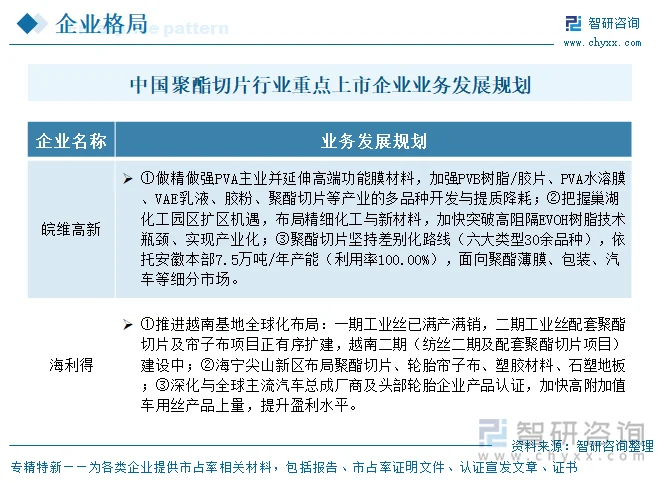 中国聚酯切片行业重点上市企业业务发展规划