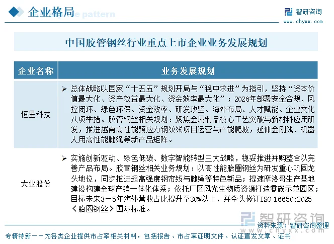 中国胶管钢丝行业重点上市企业业务发展规划